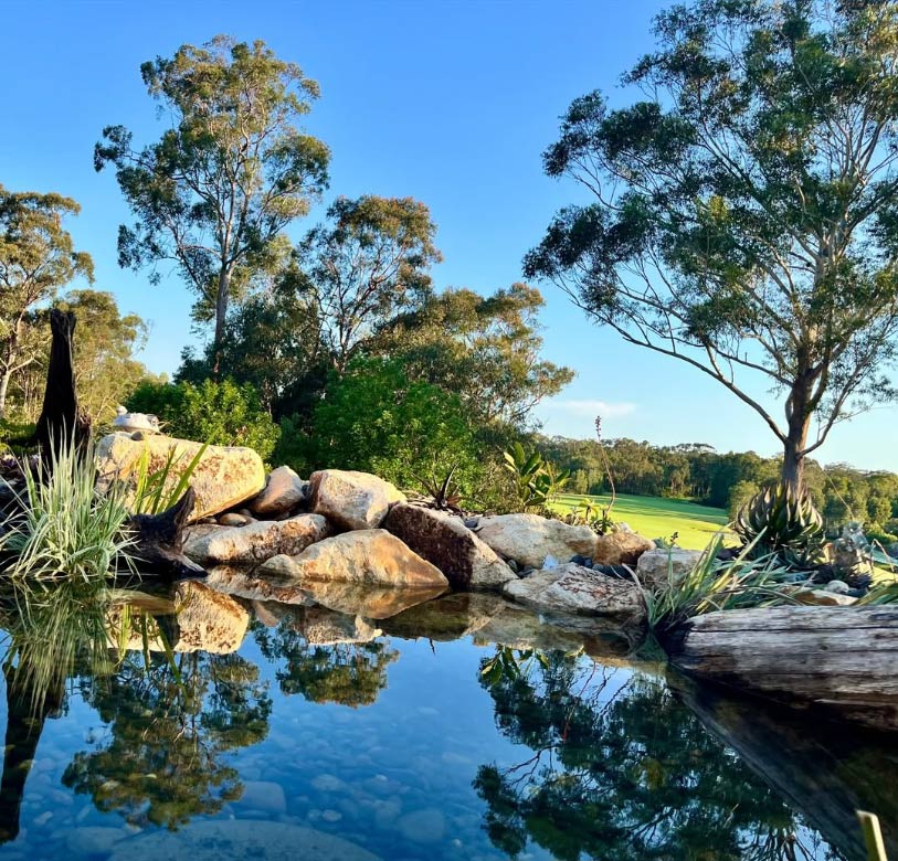 Swan Bay